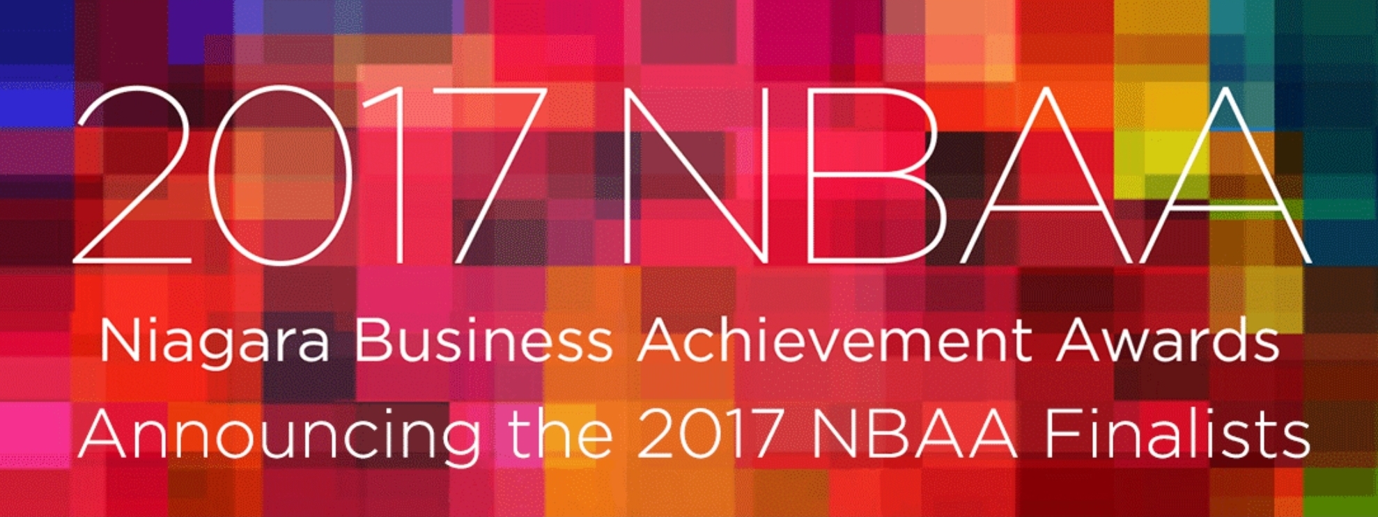 2017 NBAA LV Physiotherapy